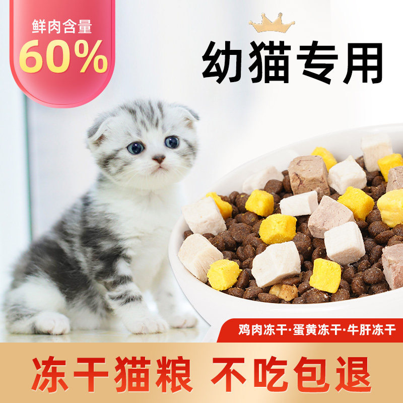 幼猫猫粮1到3月高地苏格兰折耳猫英短幼崽猫咪专用营养增肥奶糕粮