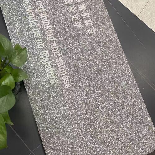 景观生态地铺石户j外广场庭院车库300*600*18加厚地砖花园阳台防