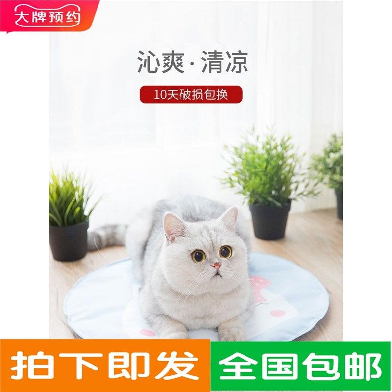 猫咪冰垫宠物凉席夏天降温猫用垫子不G粘毛猫窝耐咬地垫狗凉垫降,宠物/宠物食品及用品,猫狗垫子,淘宝优惠券,粉丝福利购,淘宝优惠卷