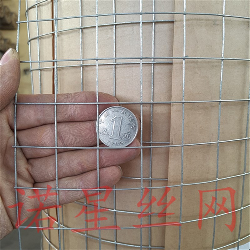 厂促热浸镀锌小孔养殖防护网大孔围栏加宽K加厚加粗镀锌铁丝网18