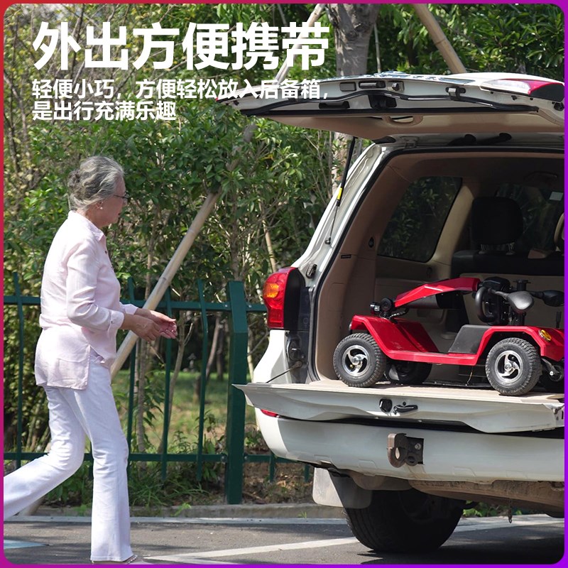 老年代步车四轮双人残疾电瓶车老人助力电动车接送孩子可折叠