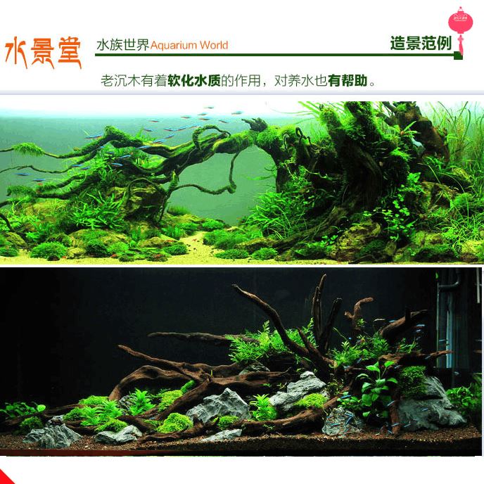 沉木造景套餐创j意水草大型草缸大号松皮石生态鱼缸造景