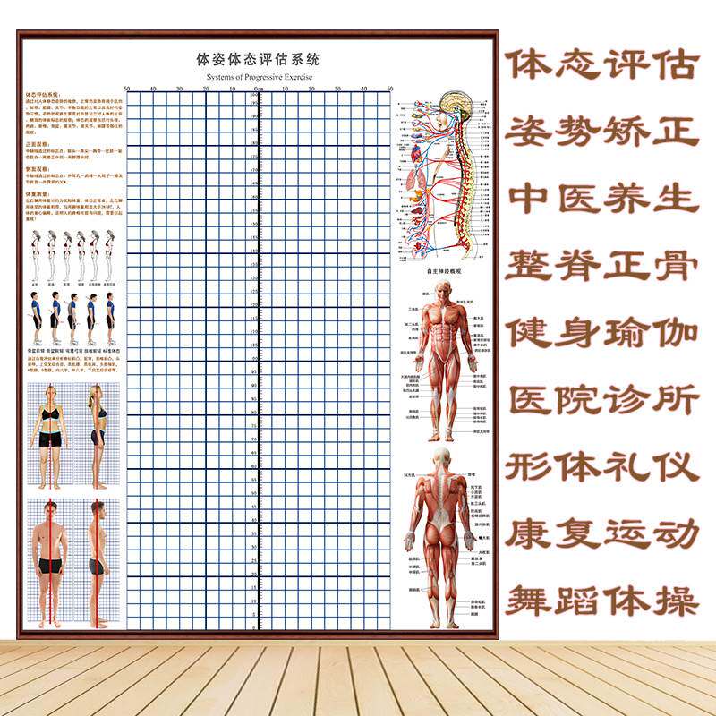 体态评估表墙贴健身房p体测网格纸瑜伽馆私教姿势体位背景墙体姿