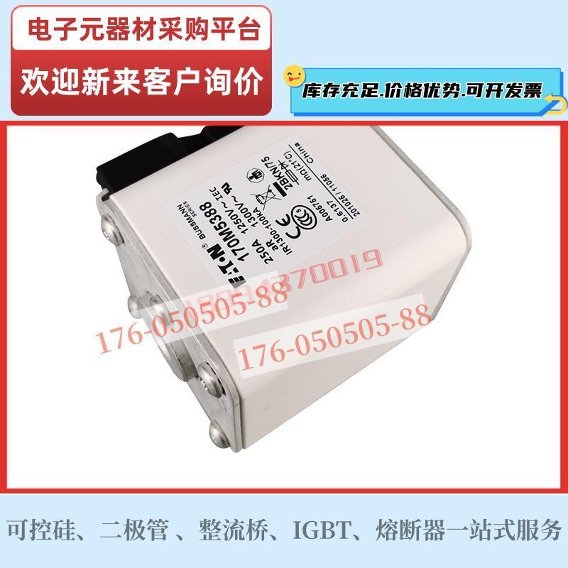 巴斯曼保险丝熔断器170M5371 170M5374 170M5388 170M5389