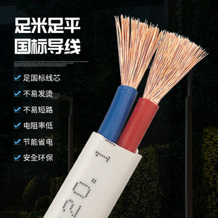 2.5 插头带线护套线家用多股二芯1.5 4平方电线电缆线电源线软线