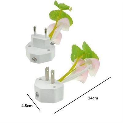 Novelty Night Light EU & US Plug Induction Dream Muroom