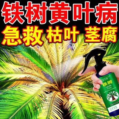 急速发货铁树叶子发黄专用肥料防治烂根斑点花卉盆栽植物氮磷钾通