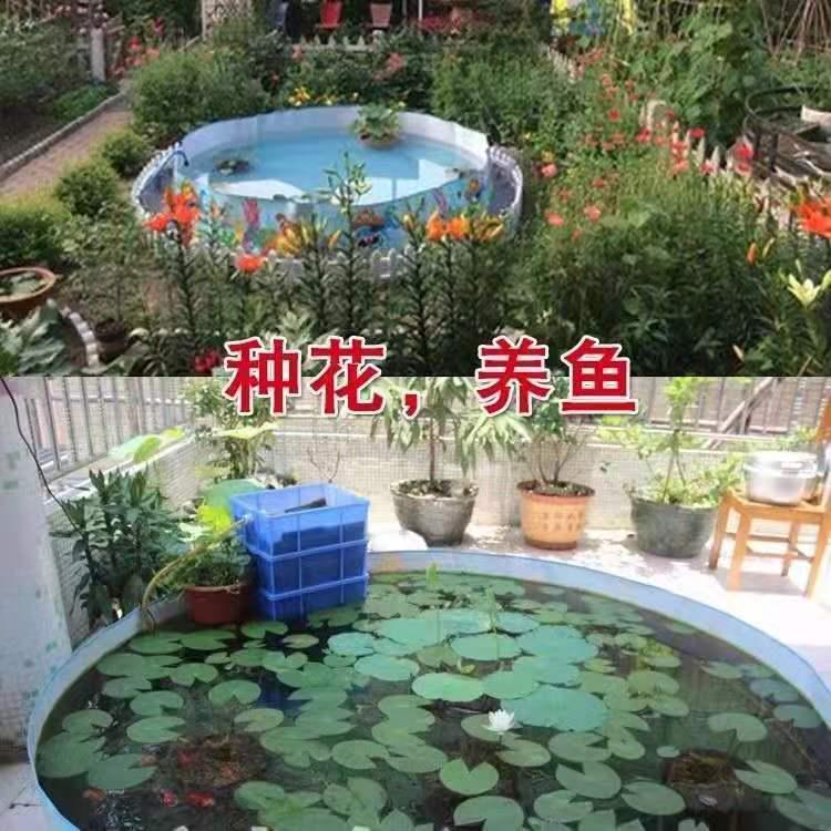 大型户外游泳池圆形加厚免充气海洋球池儿童婴儿游泳池家用可折叠