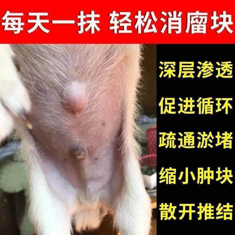 速发狗狗脂肪瘤膏【一抹不见了]专治宠物皮下脂肪瘤粉瘤囊起硬块
