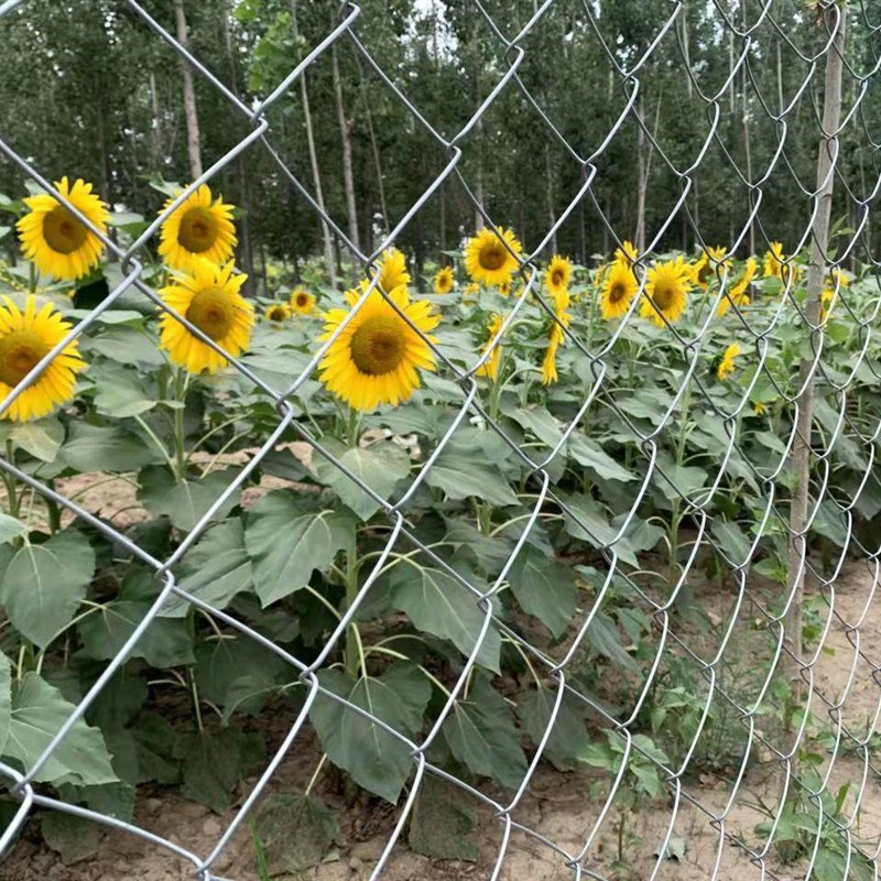 新品镀锌勾花网钢丝网q养殖网铁丝围栏牛羊防护网果园x边坡防护不