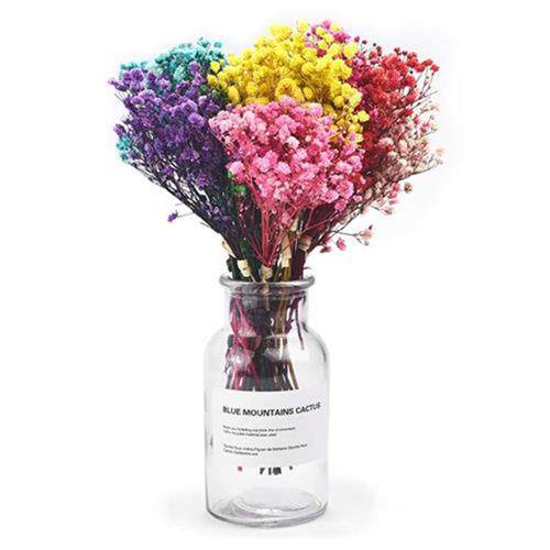 a bunch of mini natural dried flowersfresh preserved flowers