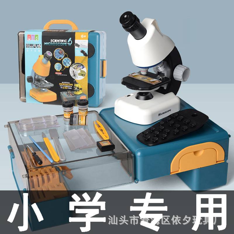 速发生用日礼物孩子毕业儿童女童6岁一年级10十女小T学生8实学的6