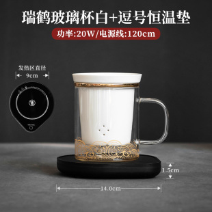 泡茶杯茶水分离男士玻璃水杯带F盖子国潮个人办公室杯子