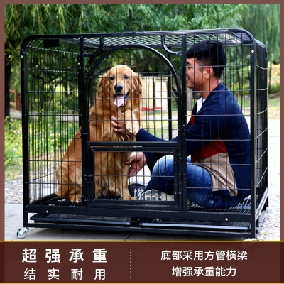 猫咪蚊帐防止跳出来宠物栅栏狗围栏网M防逃网狗狗笼子防蚊网