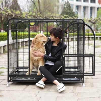 猫咪蚊帐防止跳出来宠物栅栏狗围栏网M防逃网狗狗笼子防蚊网