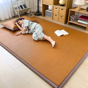 可收冰床垫垫子丝地睡垫榻榻米垫夏天可折叠凉席打地铺定做纳日式