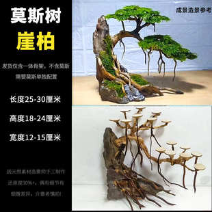 装饰成品骨架造景枝条莫斯迎客松草摆件缸水草树天然沉木鱼缸树枝