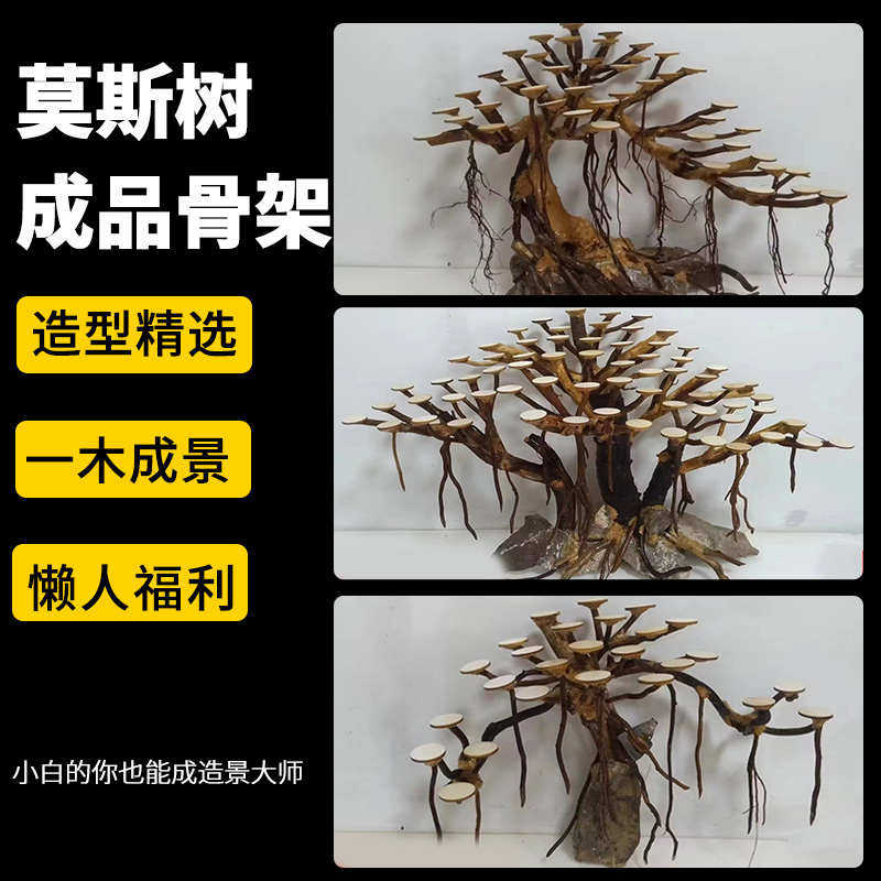 装饰水草摆件枝条天然鱼缸树枝成品骨架木沉造景草树迎客松莫斯缸