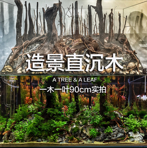 草缸直沉木套餐 造景木q 草缸造景 一木一叶雨林景 原创设计 定制