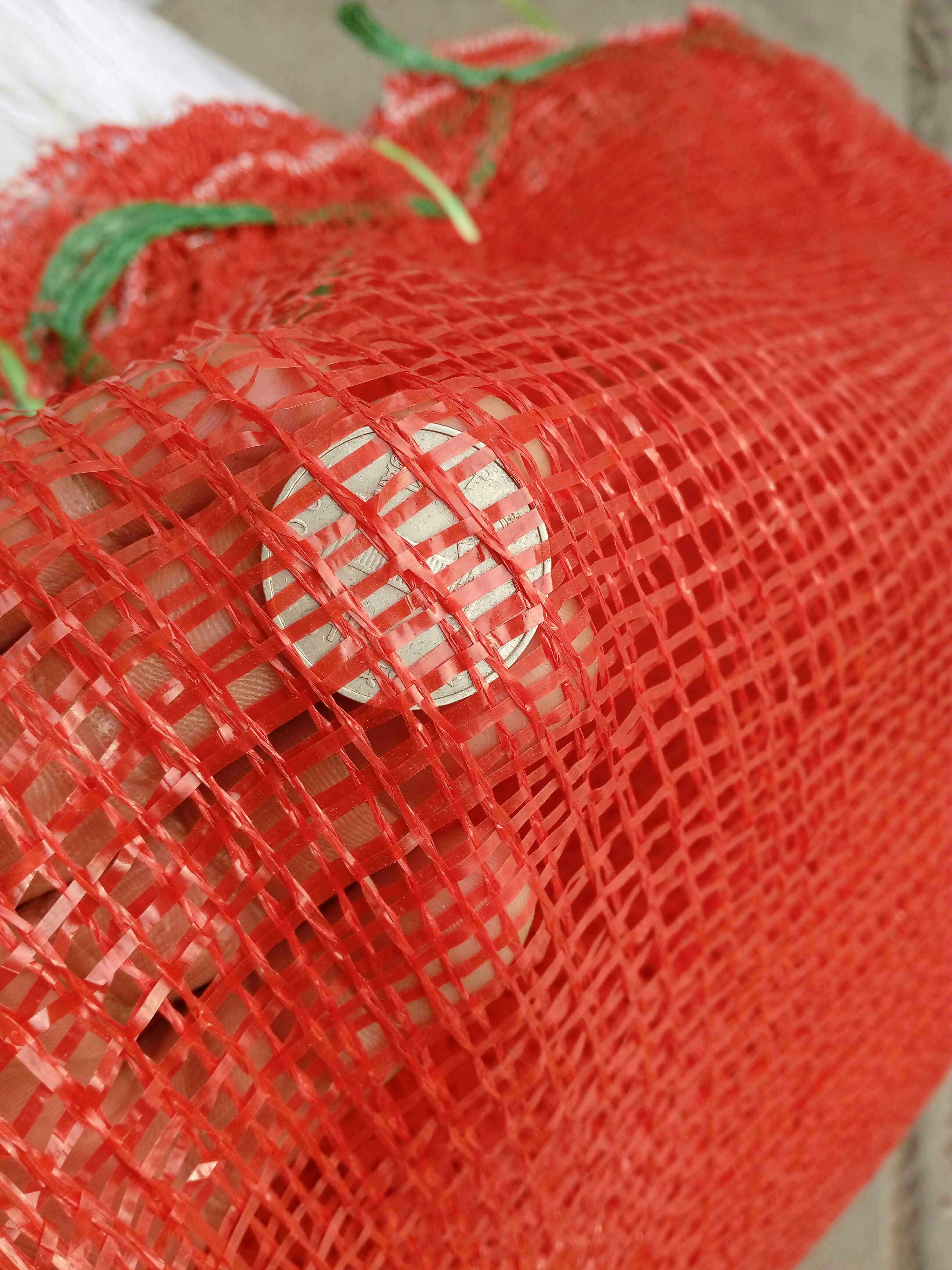 网袋子水果蔬菜网袋玉米装活禽洋葱土豆红薯r西瓜网兜厂家
