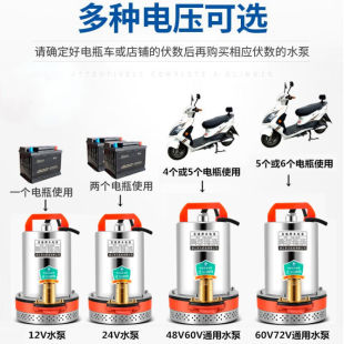 雷澎直流潜水泵4i8V60V72伏家用水泵12V24V瓶小型农田灌溉抽水机1
