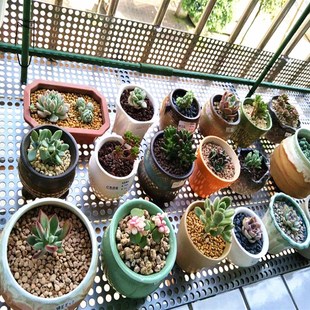 不锈钢冲孔网板防盗窗垫板金属网格板圆孔洞洞板网围挡板过滤筛网