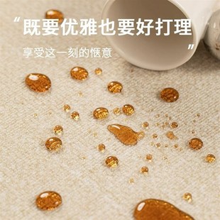纯色b地毯客厅新中式 新品 轻奢高级沙发茶几F耐脏免洗卧室地垫大面