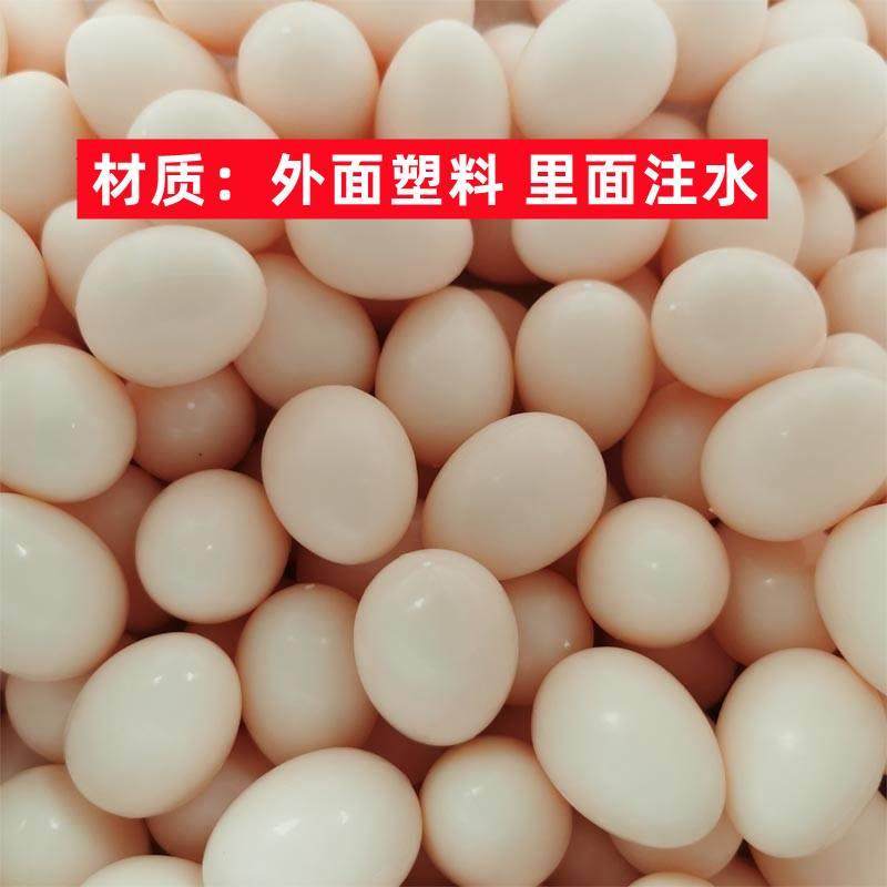 大型肉鸽注水假蛋圆环塑料鸽蛋元宝鸽替换假鸽子蛋白羽王鸽蛋,宠物/宠物食品及用品,鸟禽其他,淘宝优惠券,粉丝福利购,淘宝优惠卷