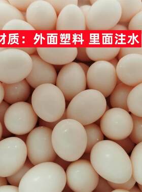 大型肉鸽注水假蛋圆环塑料鸽蛋元宝鸽替换假鸽子蛋白羽王鸽蛋