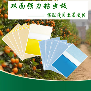 防虫板双面黄板蓝板物理杀虫家庭阳台室内蚜虫P粉虱蝇蓟马粘虫诱