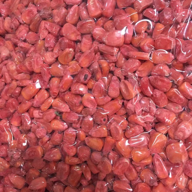 李小毛红玉米窝料反底钓用底窝配干包谷鲤草青鱼可装水融网野钓