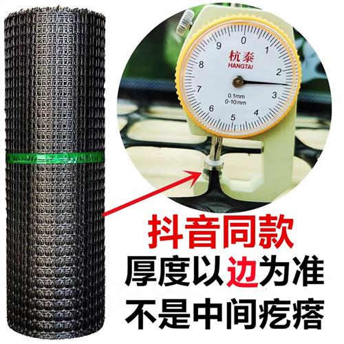 塑料养殖网养鸡围栏网防护x网拦鸡网塑胶网栅栏黑色胶网圈玉米