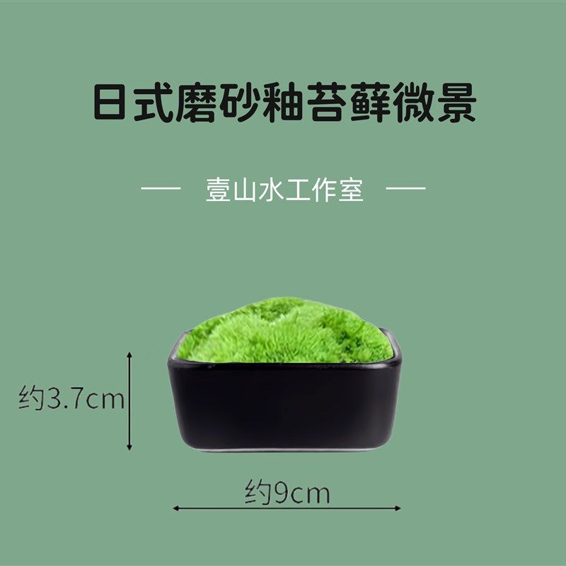 日式苔藓微景观小型桌面茶艺景观摆D件鲜活苔藓创意迷你盆景新中,鲜花速递/花卉仿真/绿植园艺,造型盆景,淘宝优惠券,粉丝福利购,淘宝优惠卷