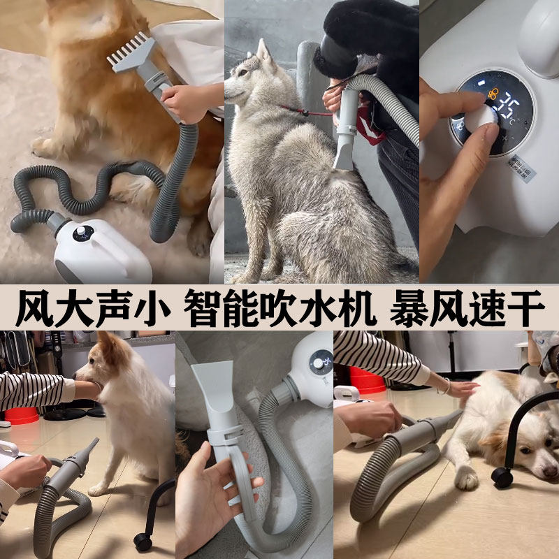 宠物吹水机家g用狗狗吹风机猫咪烘干机大型犬吹毛洗澡吹干神