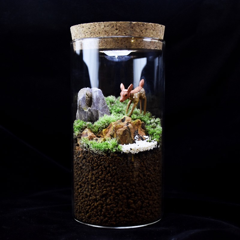 苔藓微景观植物生态瓶奇趣绿植创意DIYK小盆景桌面办公桌绿植摆件