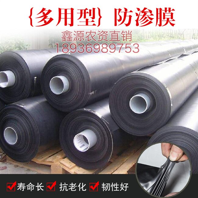 速发新品防渗膜鱼塘膜土工膜养殖膜蓄水F池专用化粪池加厚塑料布