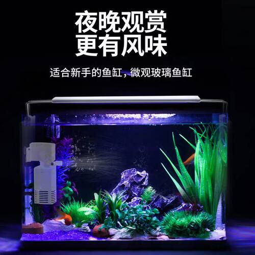 长方形玻璃鱼缸客厅小型水族箱家用桌面金鱼水草造景热弯玻璃裸缸