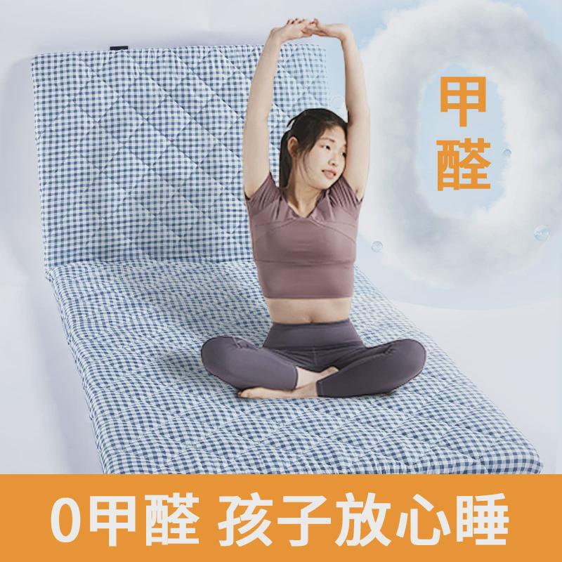 纤维单人透气租房可水洗榻榻米薄垫子可折叠空气床垫学生宿舍床垫