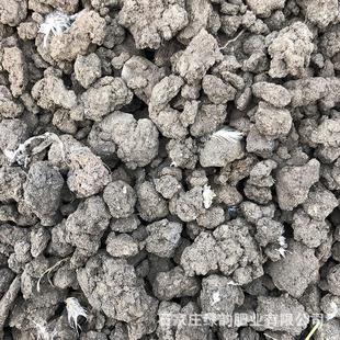 微生物鸡粪晒干发酵有机肥料蔬菜果蔬用鸡粪颗粒有机肥底肥