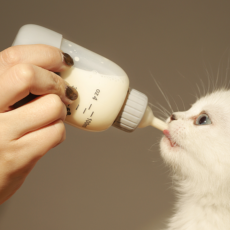 猫咪奶瓶幼猫新生宠物幼犬瓶小奶猫专用小狗狗喂奶器喂食奶嘴用品 宠物/宠物食品及用品 饮水器/水壶/水头 原图主图