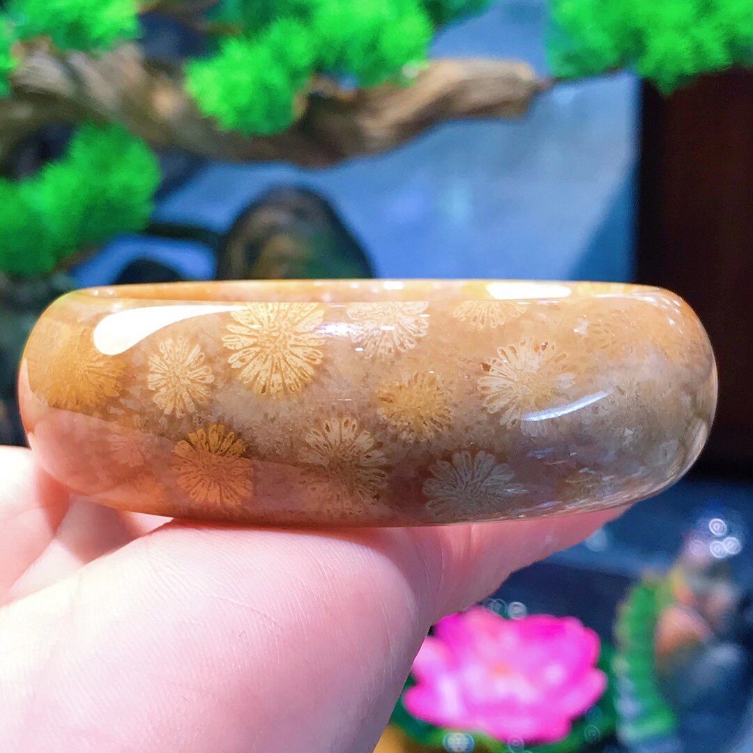一博珊福精品天然珊瑚玉老料立体手镯
