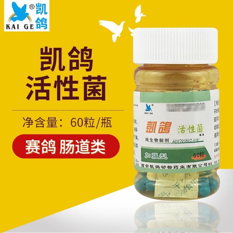 凯鸽鸽药【凯鸽活性菌】健胃整肠/效果好/促消化吸收(胶囊60粒)