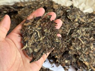 2019布朗山大树白茶 云南大叶种白茶 老白茶