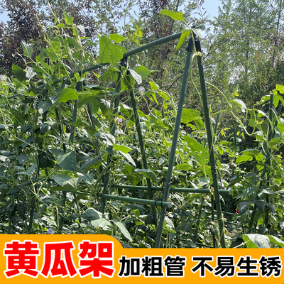 黄瓜架豆角架爬藤架户外种菜架百香果葡萄搭架搭棚花西红柿架架杆