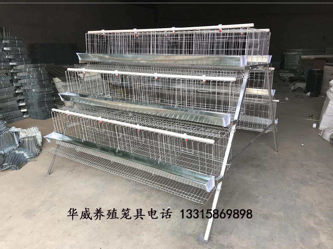 桶,大型饲喂鸡a笼子三层梯形设备养鸡料蛋大容量料厂鸡铁笼喂通风_虎窝淘