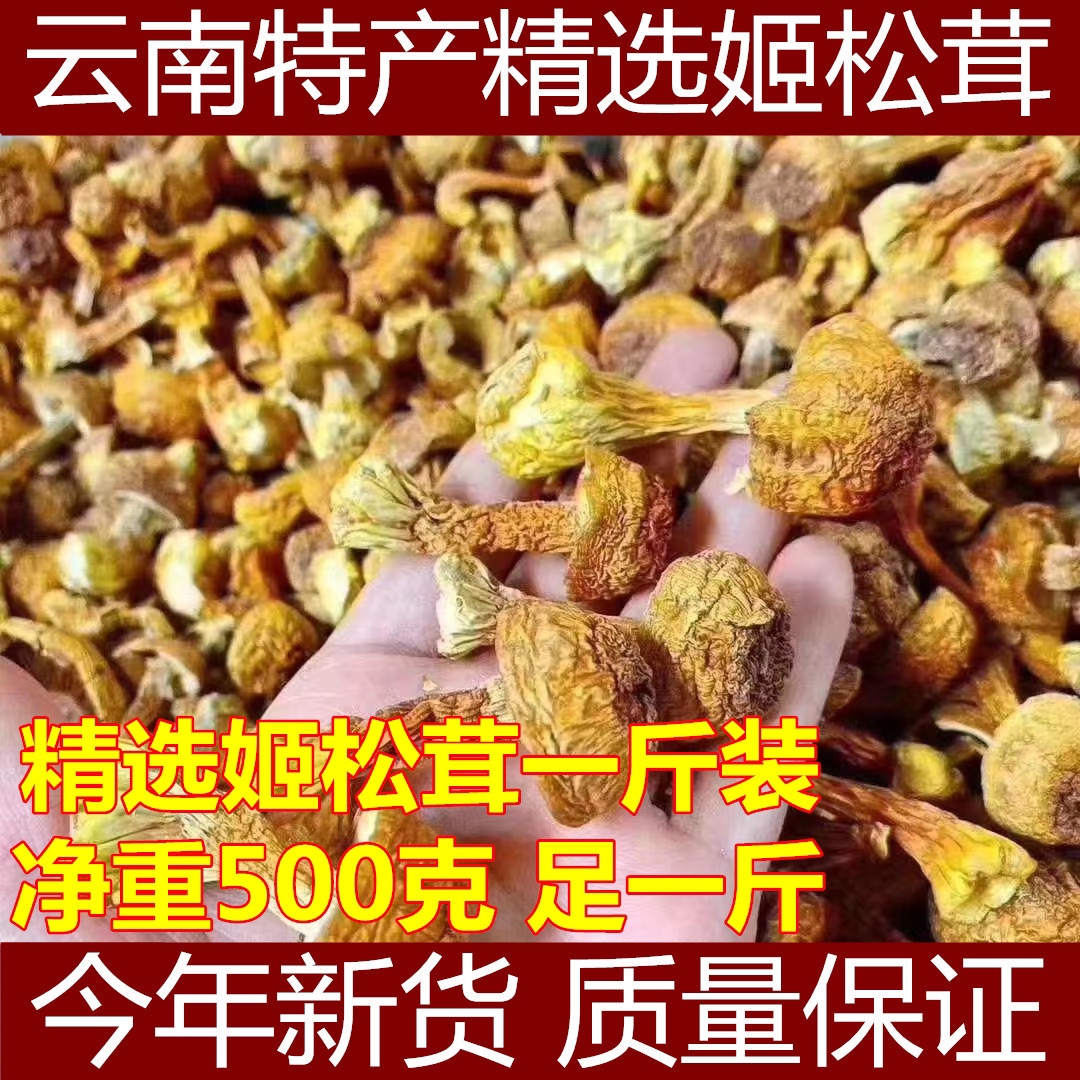 云南新货姬松茸特级500g全国包邮