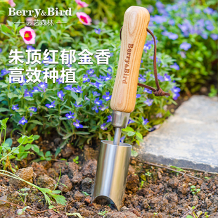 Berry Bird园艺森林种球种植器球根移植郁金香风信子挖洞园艺