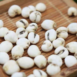 川贝母中药材无硫四川贝母粉怀中抱月特级非野生500克