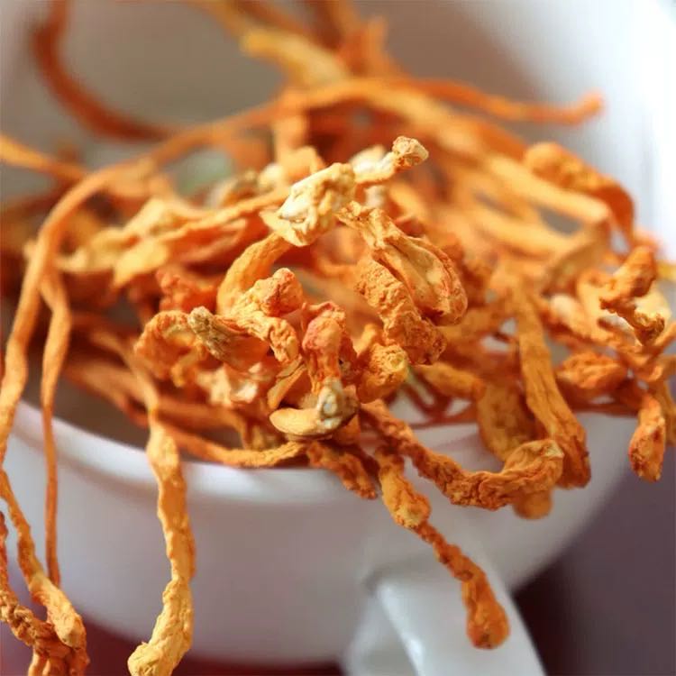 云南高海拔今年虫草花干货菌香味十足