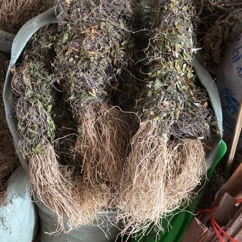 双飞蝴蝶中草药500克包邮 三十六荡 老君须老虎须 三十六根中药材